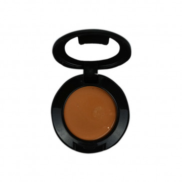 MAC STUDIO FINISH SPF35 CONCEALER NW25