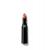 Giorgio Armani Lip Power - 102