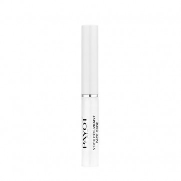 Payot Stick Couvrant Pâte Grise