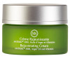 Innossence Rejuvenating Cream 50 ml