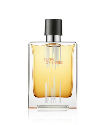 Hermès TERRE D'HERMÈS FLACON H 2021 Eau de toilette 100 ml