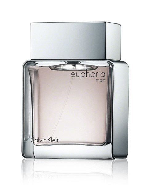 Calvin Klein Euphoria 100 | vlr.eng.br