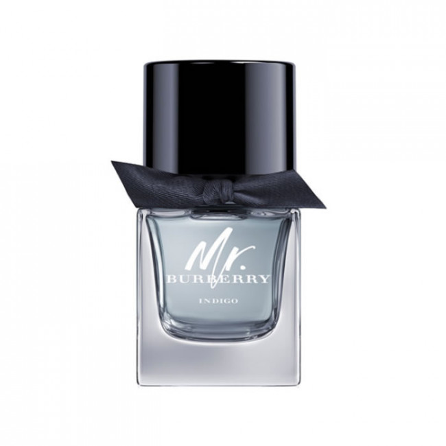 Burberry Mr. Burberry Indigo Eau de toilette 50 ml