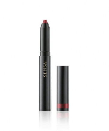 Kanebo SILKY DESIGN ROUGE Crayon Rouge a Levres DR02 Ebicha
