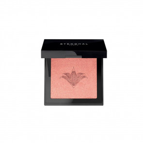 Stendhal Blush Illuminating - 300