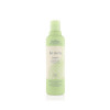 Aveda Be Curly Shampoo 250 ml