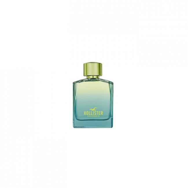 hollister wave eau de toilette