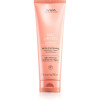 Aveda Nutriplenish Conditioner Light Moisture 250 ml