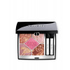 Dior 5 Couleurs Limited Edition - 974 Pink Riviera