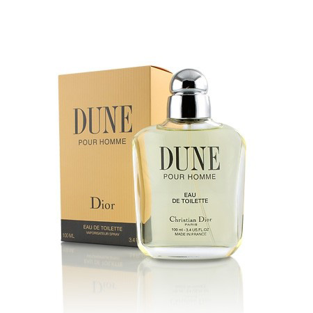 dune dior homme